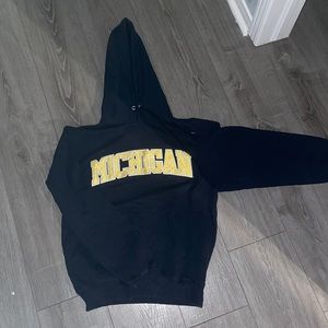 Michigan wolverines champion hoodie